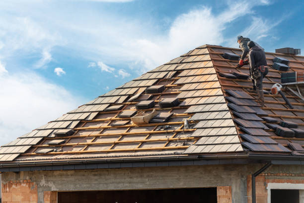 Best Skylight Installation and Repair  in Mount Zion, GA
